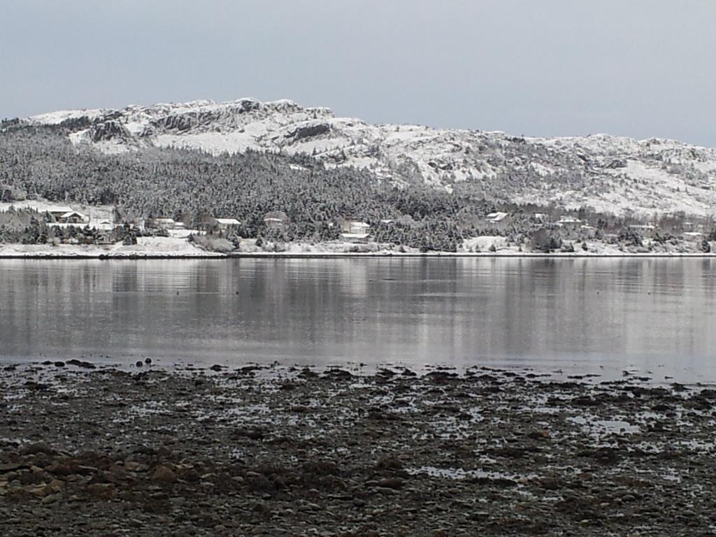 The Spaniards Room Heritage Home Spaniards Bay 외부 사진